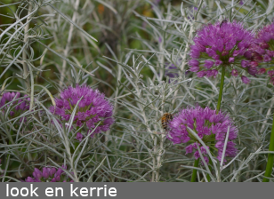 look en kerrie